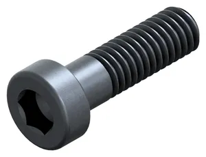 Hexagon socket head cap screw with low head and pilot recess DIN 6912 Steel Plain 08.8