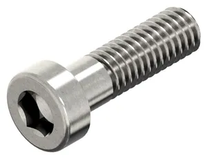 Hexagon socket head cap screw with low head and pilot recess DIN 6912 Steel Zinc plated 08.8