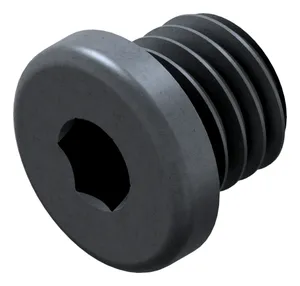 Hexagon socket screw plug with collar, pipe thread DIN 908 Steel Plain