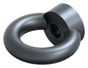 Lifting eye nut with CE marking DIN 582 Steel C15E Plain forged