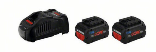 Bosch Batteria 2x5,5AH+GAL1880CV