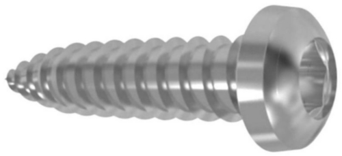 Hexalobular socket pan head tapping screw ISO 14585 C Stainless steel A4
