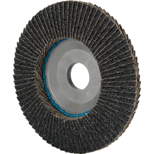 Fan-type disc LONGLIFE C-TRIM dm 125 mm granulation 60 flat stainless (steel) zi
