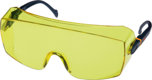 3M Safety glasses DE272934378