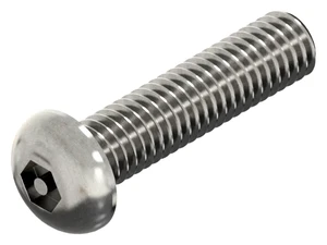 SECURITY Hexagon socket button head screw with pin Stainless steel A2