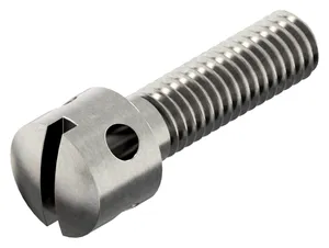 Slotted capstan screw DIN 404 Stainless steel A1 50