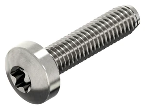 Cross recessed raised cheese head thread rolling screw Acero inoxidable (Inox) A2