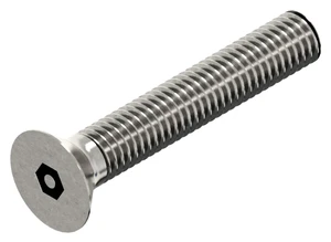 SECURITY Hexagon socket countersunk head screw with pin Stainless steel A2