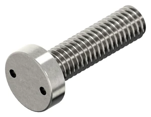 SECURITY Pan head screw with 2 holes Stainless steel A2