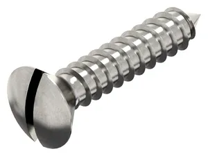 Slotted raised countersunk head tapping screw DIN 7973 C Stainless steel A2