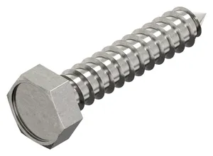 Hexagon head tapping screw DIN 7976 C Stainless steel A2