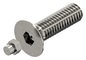 SECURITY Hexagon socket countersunk head screw with plug Stainless steel A2 50