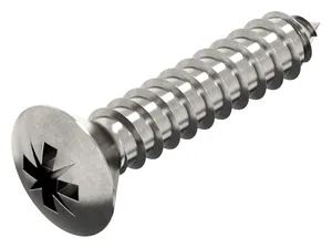 Cross recessed raised countersunk head tapping screw DIN 7983 C-Z Stainless steel A2