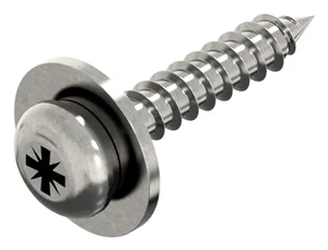 Window screws