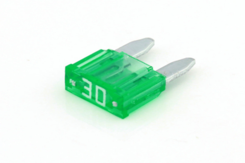 Ripca Mini Safety Fuse 30A green 50 pieces