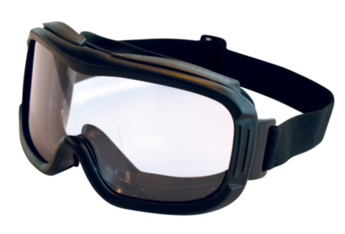 M-Safe Safety goggles Walsh Clear