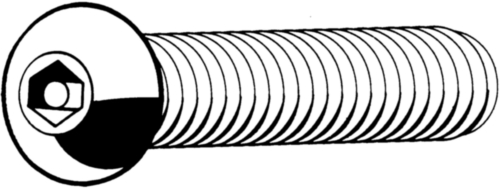 SECURITY Laagbolkopschroef binnenzeskant met pin Roestvaststaal (RVS) A2