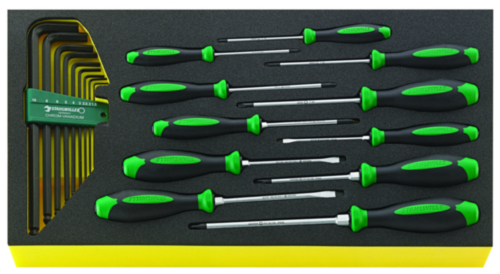 Stahlwille Screwdriver set DRALL+ TCS WT 4622-4650-1 24 pcs.