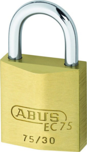 Abus Cylinder locks