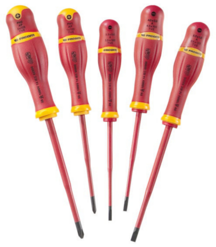 FAC SCREWDRIVER SET 5PC