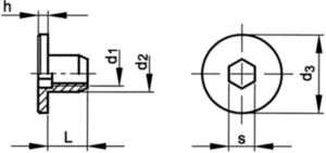 Ecrou à tête cylindrique à six pans creux avec trou traversant type RF Laiton Nickelé Ouvert