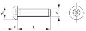 SECURITY Laagbolkopschroef T-ster met pin Roestvaststaal (RVS) A2 70 M10X65