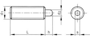 Spring plunger with pin and hexagon socket Stainless steel