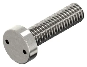 SECURITY Tornillo cabeza cilindrica con 2 agujeros Acero inoxidable (Inox) A2