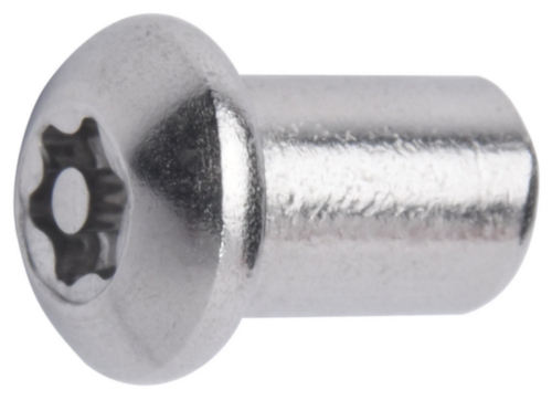 SECURITY T-ster/pin hulsmoer met laagbolkop Roestvaststaal (RVS) A2