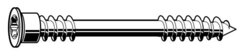 Terrasschroef met cilinderkop Roestvaststaal (RVS) A4