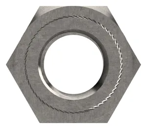 Hex press nut Stainless steel A1