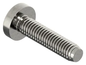 Cross recessed raised cheese head thread rolling screw Stainless steel A2