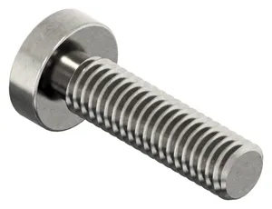 SECURITY Tornillo cabeza cilindrica con 2 agujeros Acero inoxidable (Inox) A2