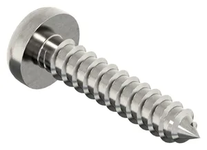 SECURITY Pan head tapping screw with 2 holes Stainless steel A2