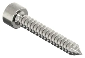 Tapping screw socket head Stainless steel A2