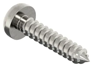 Hexalobular socket pan head tapping screw ISO 14585 C Stainless steel A2