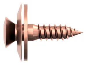 Woodscrew with washers hexalobular Stainless steel A2 Copper plated ring ø=20mm