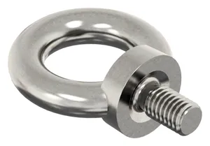 Lifting eye bolt with CE marking DIN 580 Stainless steel A2 forged