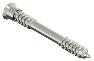 Terrace screw cylindrical head Stainless steel A4