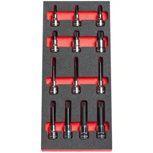 Facom Hex Bit Socket Module Set in Module 1/2" 14-Piece