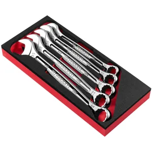 Facom OGV Combination Wrench Set in Foamed Module 27-34mm 5-Piece