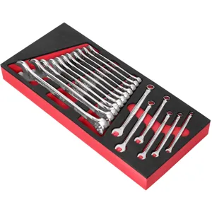 Set de chei combinate Facom OGV în modul spumant 6-24mm 17-piese